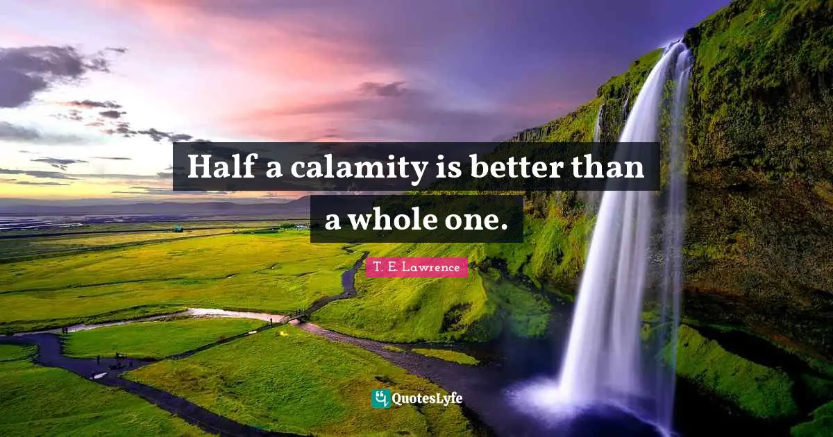 Calamity Quotes: "Half a calamity is better than a whole one."