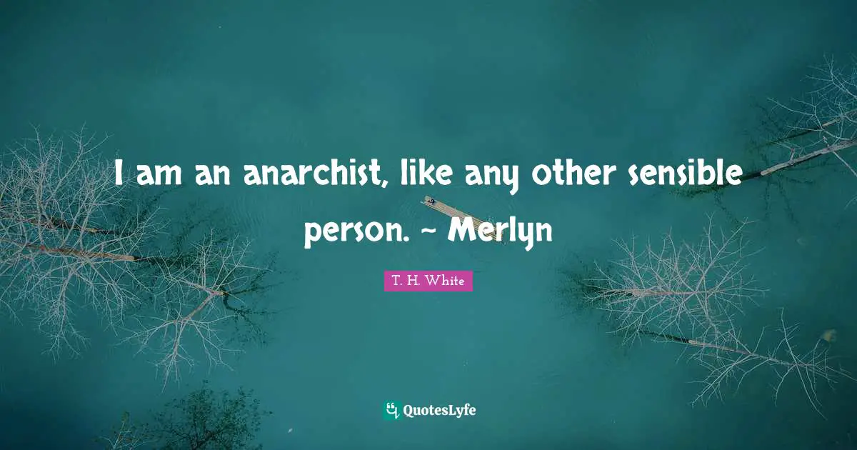 I am an anarchist, like any other sensible person. ~ Merlyn