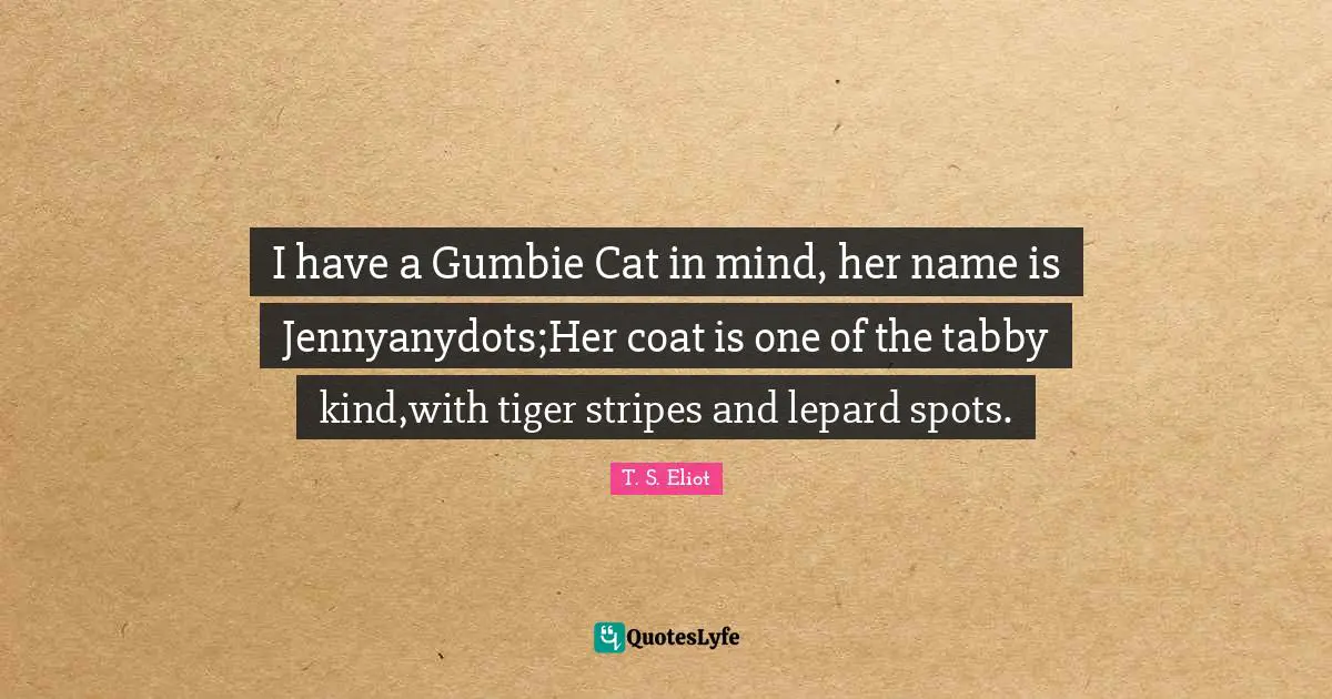 I have a Gumbie Cat in mind, her name is Jennyanydots;Her coat is one of the tabby kind,with tiger stripes and lepard spots.