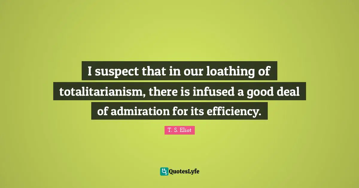 I suspect that in our loathing of totalitarianism, there is infused a good deal of admiration for its efficiency.