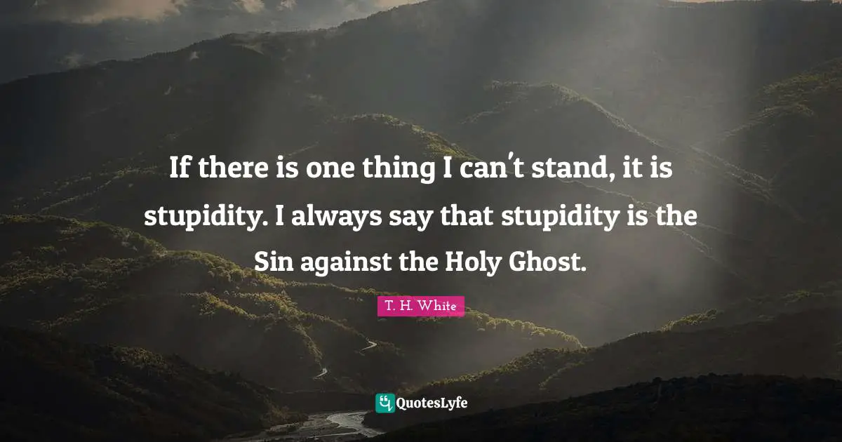 If there is one thing I can't stand, it is stupidity. I always say that stupidity is the Sin against the Holy Ghost.