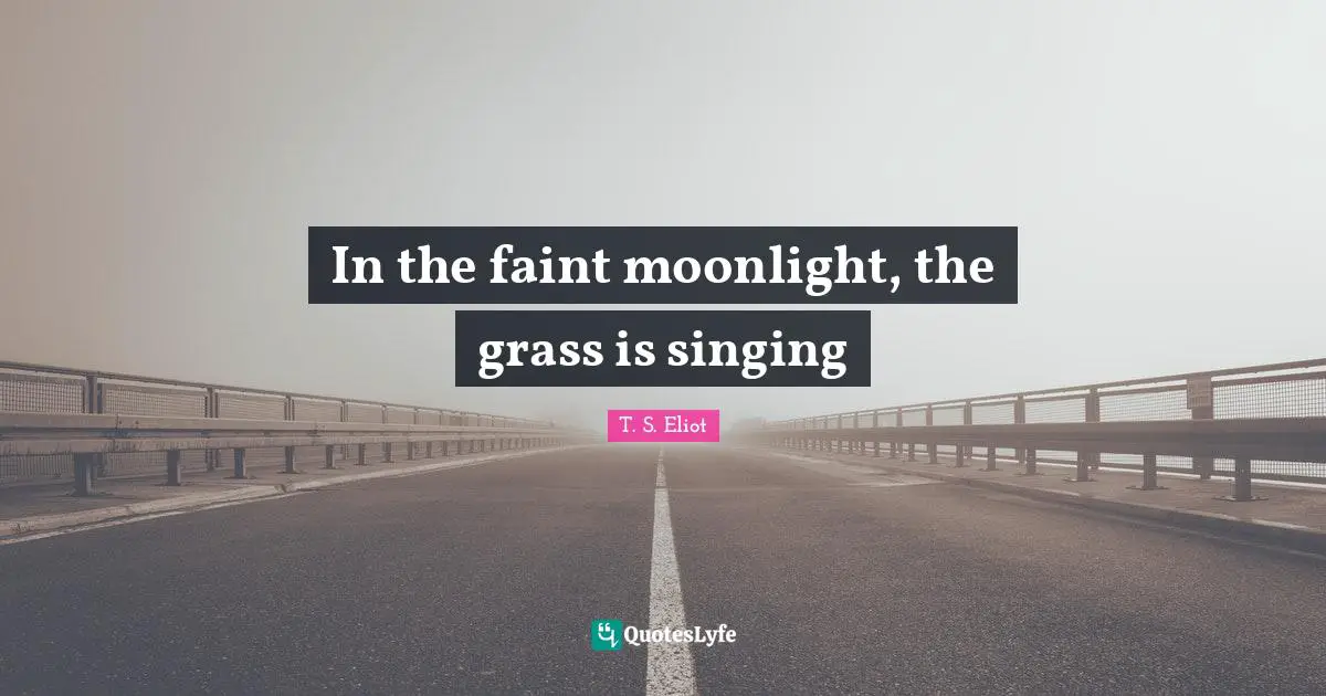 Moonlight Quotes: "In the faint moonlight, the grass is singing"