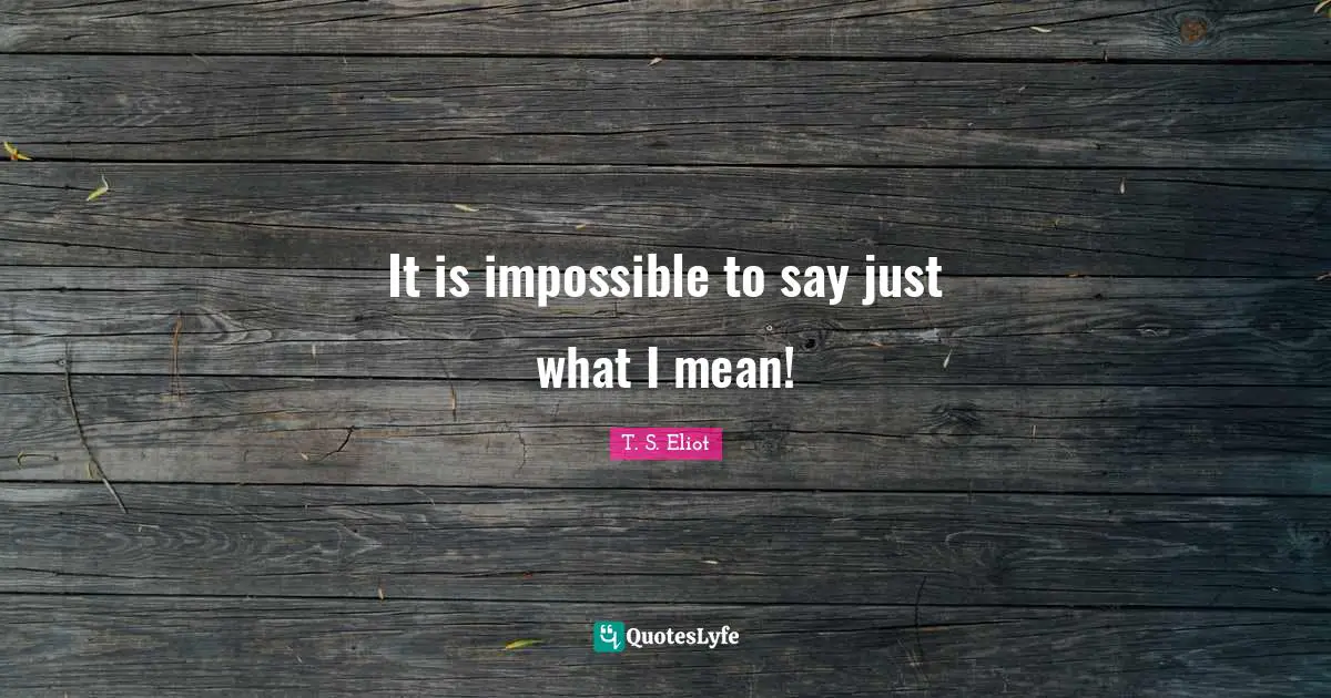 It is impossible to say just what I mean!