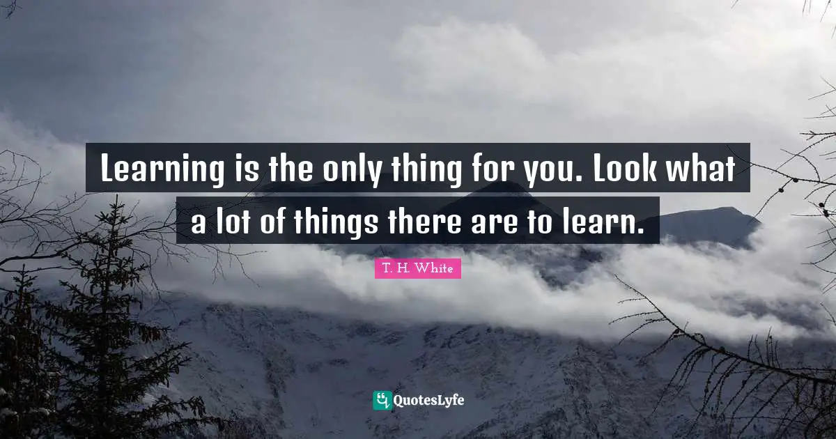 Learning is the only thing for you. Look what a lot of things there are to learn.