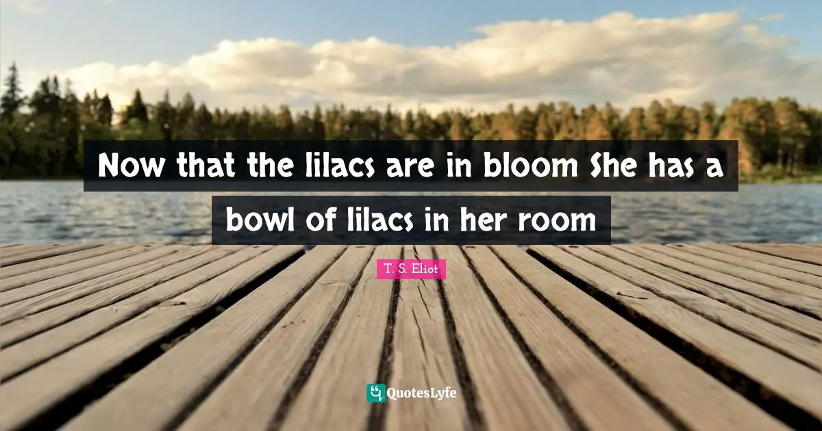 Now that the lilacs are in bloom She has a bowl of lilacs in her room