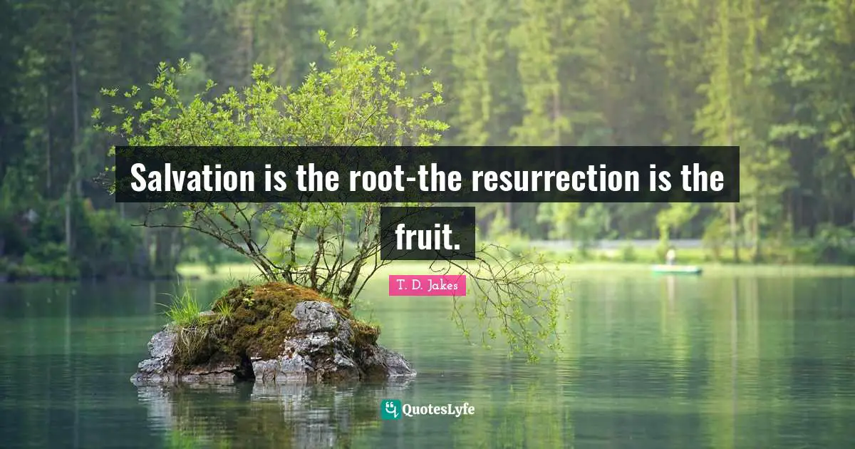 Salvation is the root-the resurrection is the fruit.