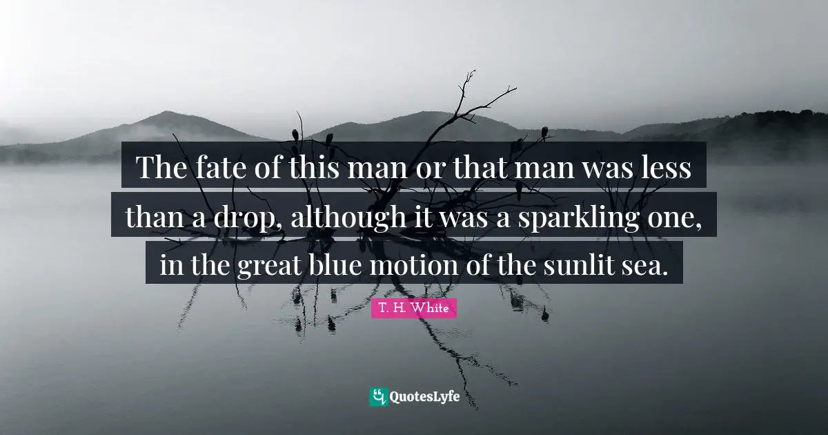 The fate of this man or that man was less than a drop, although it was a sparkling one, in the great blue motion of the sunlit sea.