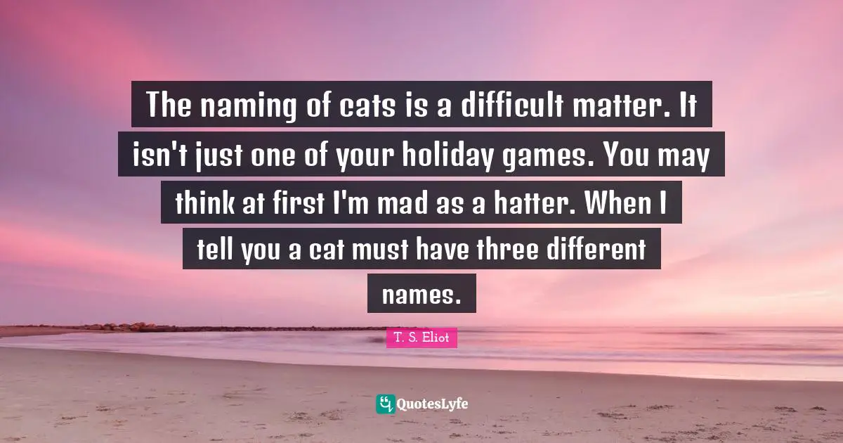 Thinking Different Quotes: "The naming of cats is a difficult matter. It isn't just one of your holiday games. You may think at first I'm mad as a hatter. When I tell you a cat must have three different names."