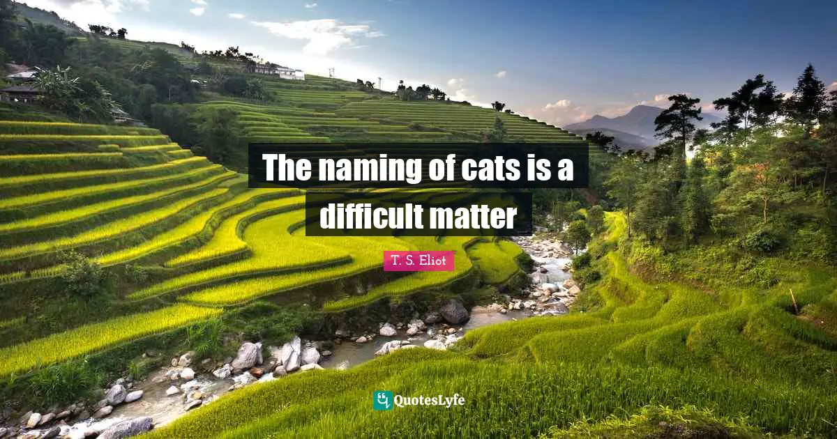 The naming of cats is a difficult matter