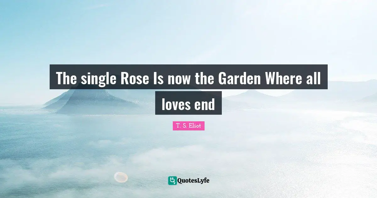 The single Rose Is now the Garden Where all loves end