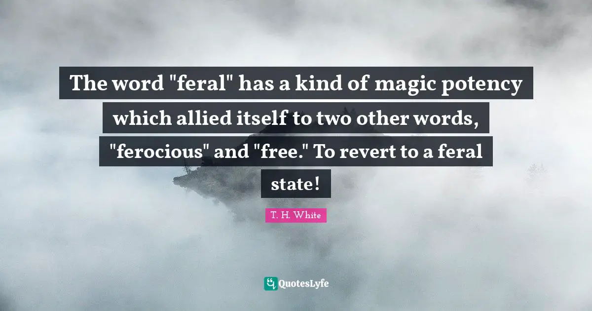 The word "feral" has a kind of magic potency which allied itself to two other words, "ferocious" and "free." To revert to a feral state!