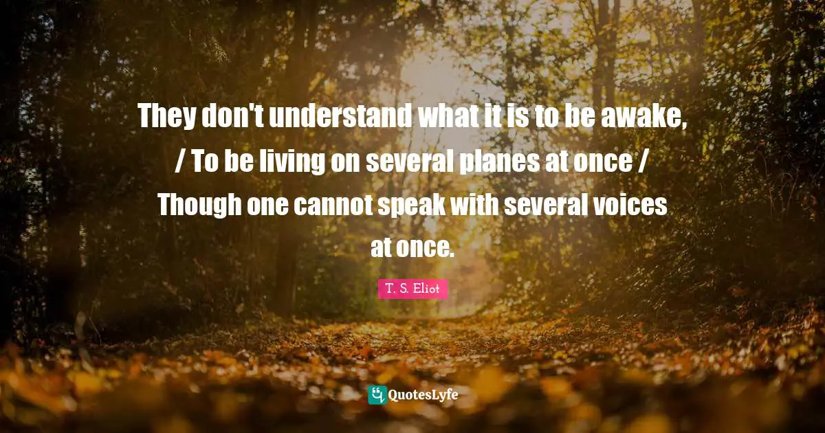 They don't understand what it is to be awake, / To be living on several planes at once / Though one cannot speak with several voices at once.