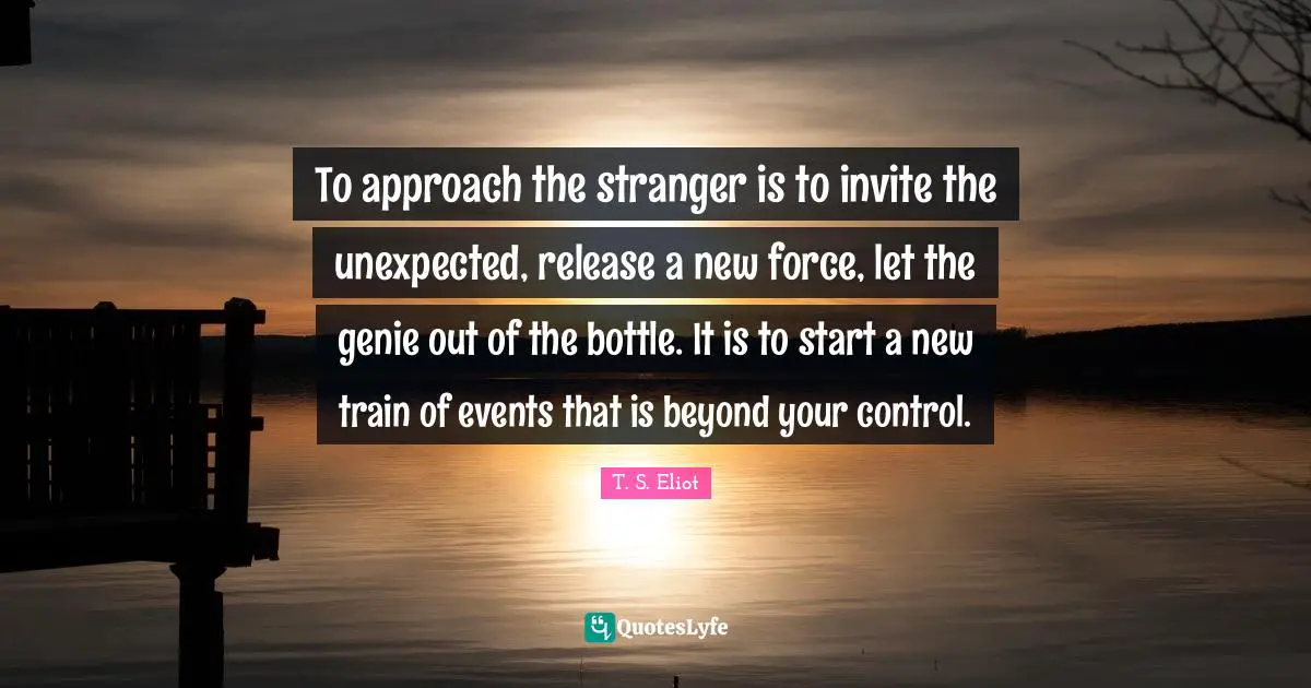 To approach the stranger is to invite the unexpected, release a new force, let the genie out of the bottle. It is to start a new train of events that is beyond your control.