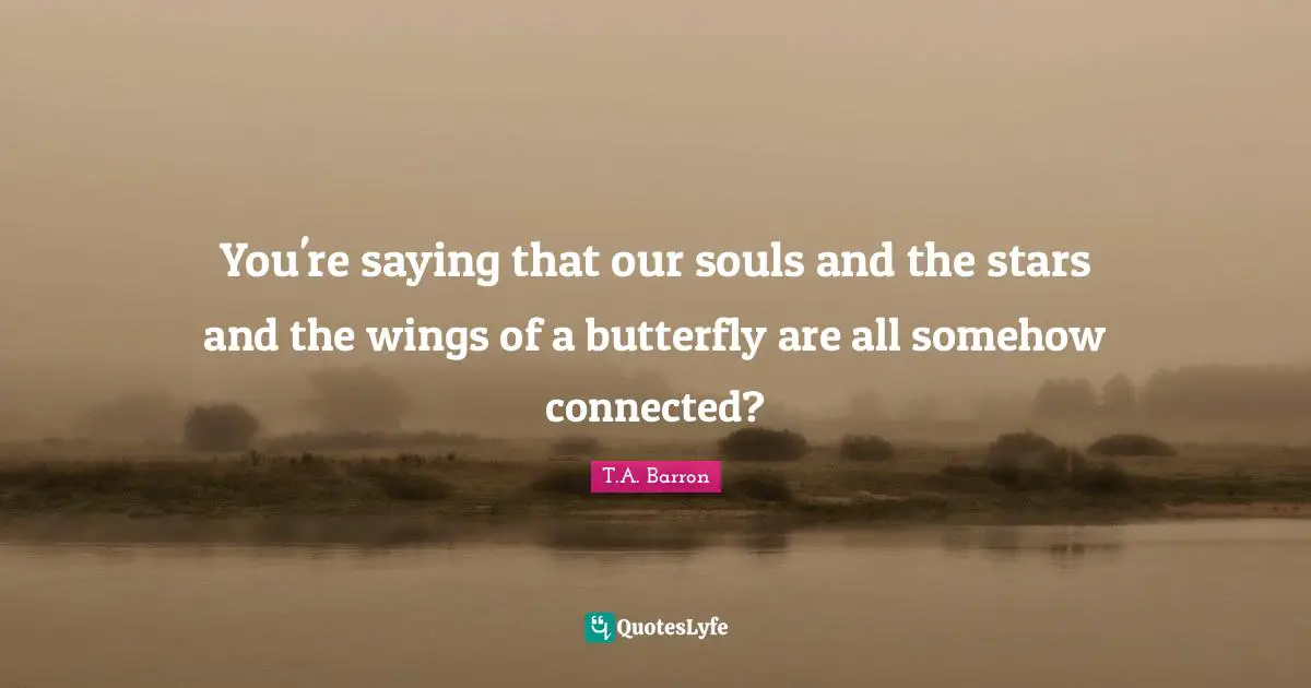 You're saying that our souls and the stars and the wings of a butterfly are all somehow connected?