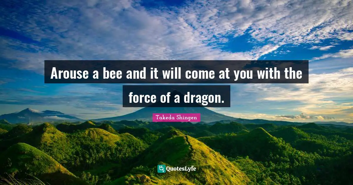 Arouse a bee and it will come at you with the force of a dragon.