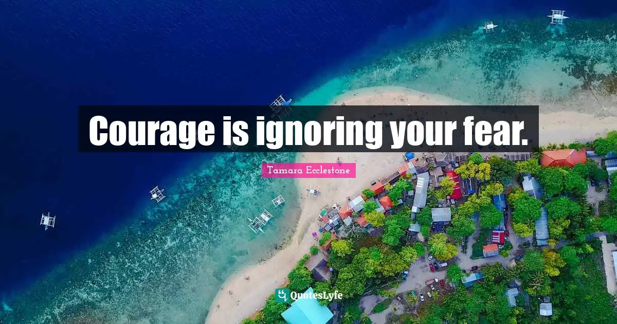 Courage is ignoring your fear.