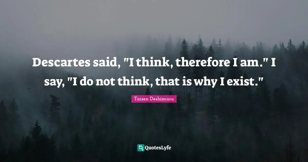 Descartes said, "I think, therefore I am." I say, "I do not think, that is why I exist."