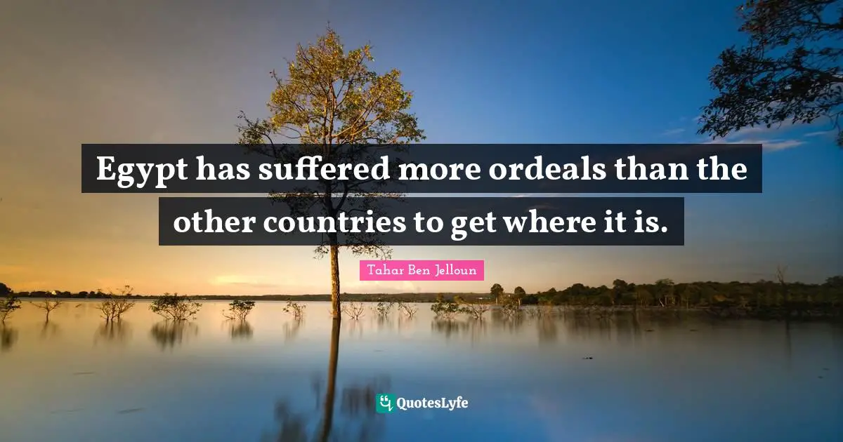 Egypt has suffered more ordeals than the other countries to get where it is.