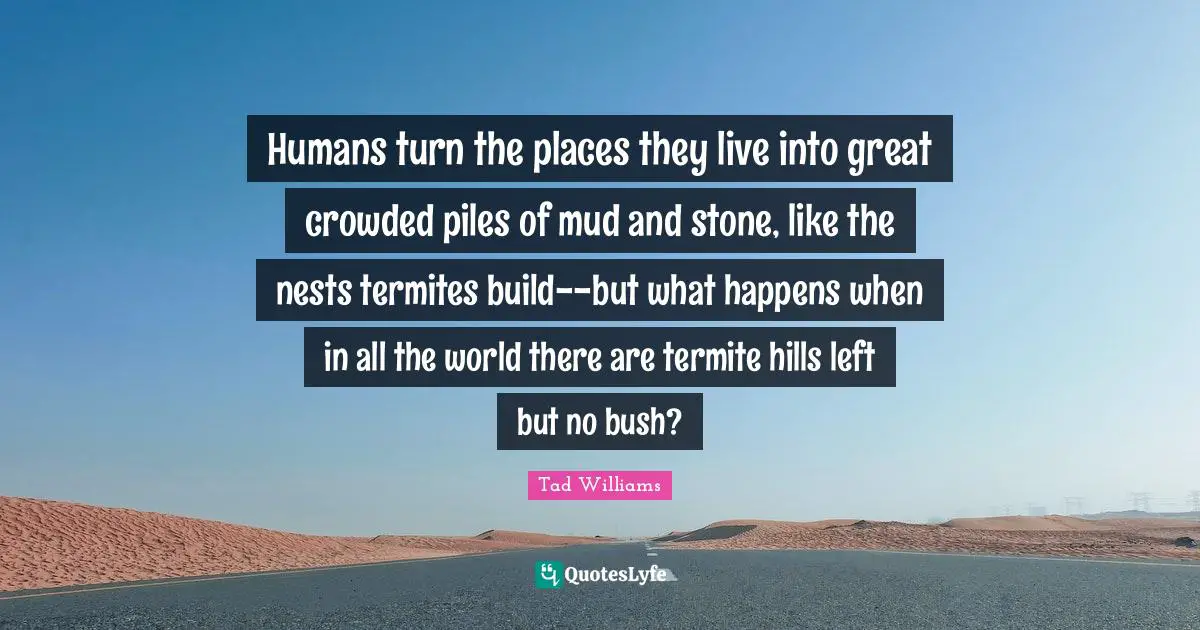 Humans turn the places they live into great crowded piles of mud and stone, like the nests termites build--but what happens when in all the world there are termite hills left but no bush?