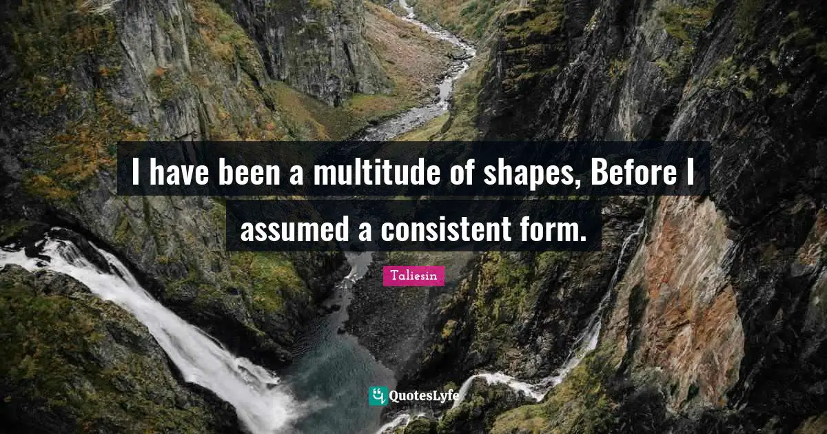 I have been a multitude of shapes, Before I assumed a consistent form.