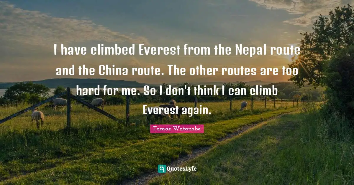 I have climbed Everest from the Nepal route and the China route. The other routes are too hard for me. So I don't think I can climb Everest again.