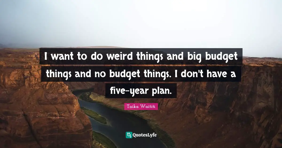 I want to do weird things and big budget things and no budget things. I don't have a five-year plan.