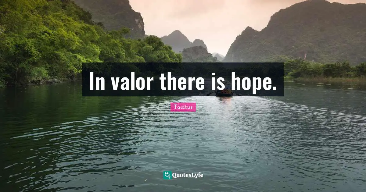 There Is Hope Quotes: "In valor there is hope."