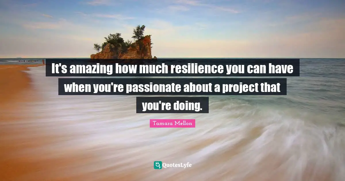 It's amazing how much resilience you can have when you're passionate about a project that you're doing.