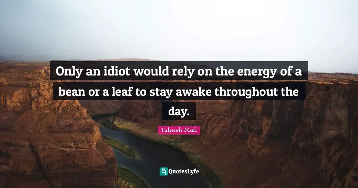 Only an idiot would rely on the energy of a bean or a leaf to stay awake throughout the day.