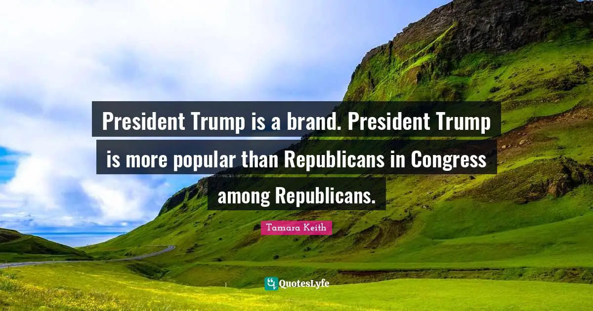 President Trump is a brand. President Trump is more popular than Republicans in Congress among Republicans.