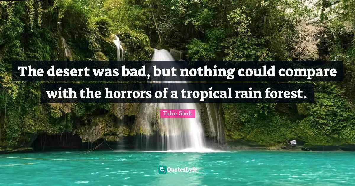 The desert was bad, but nothing could compare with the horrors of a tropical rain forest.