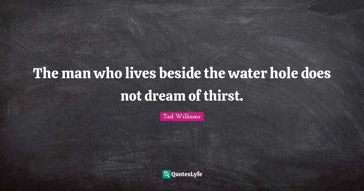 The man who lives beside the water hole does not dream of thirst.