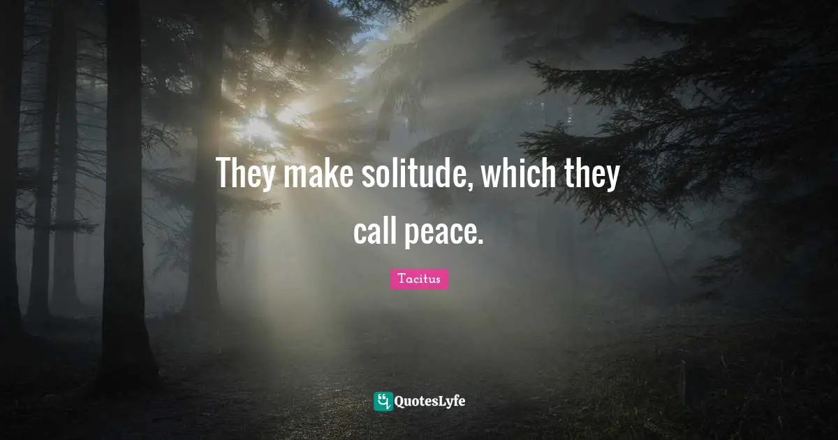 They make solitude, which they call peace.