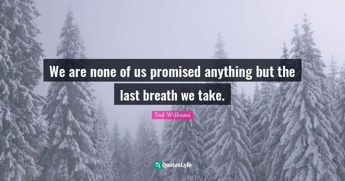 We are none of us promised anything but the last breath we take.