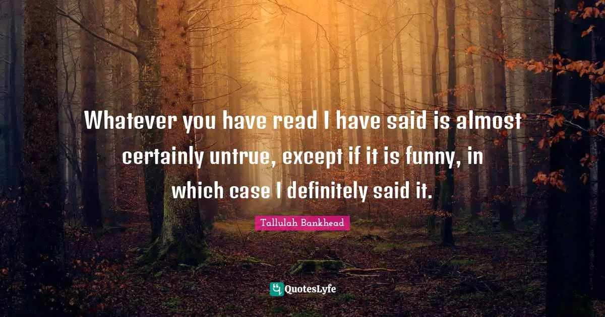 Whatever you have read I have said is almost certainly untrue, except if it is funny, in which case I definitely said it.