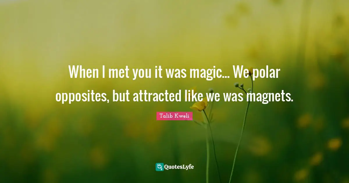 When I met you it was magic... We polar opposites, but attracted like we was magnets.