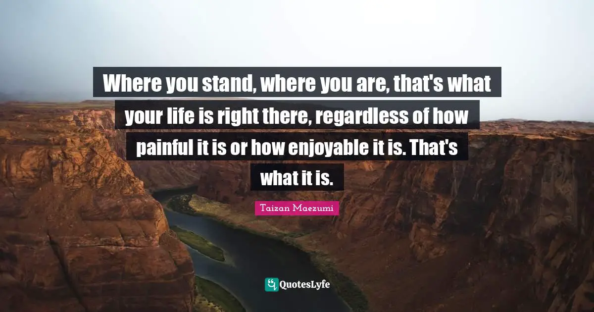 Where you stand, where you are, that's what your life is right there, regardless of how painful it is or how enjoyable it is. That's what it is.
