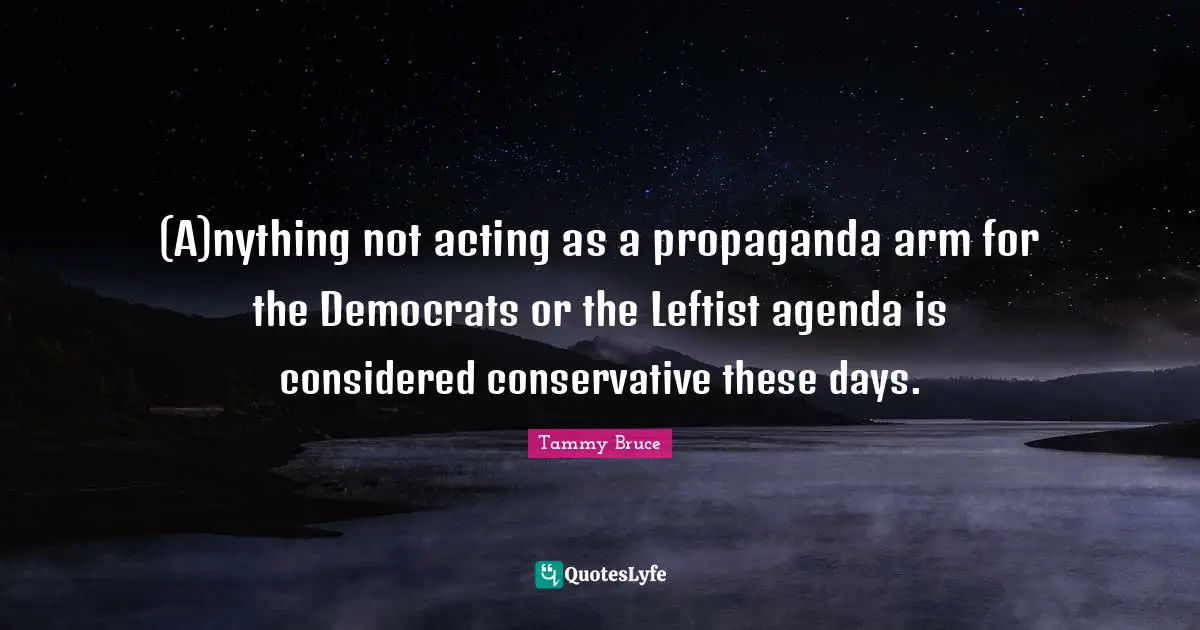 (A)nything not acting as a propaganda arm for the Democrats or the Leftist agenda is considered conservative these days.