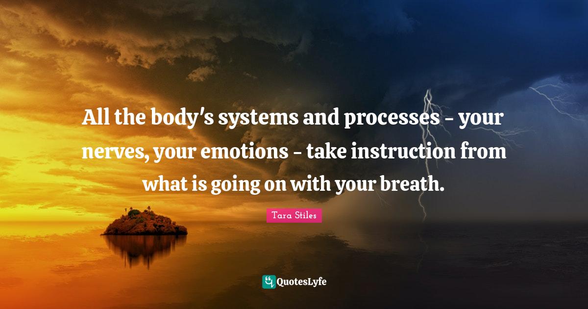 All the body's systems and processes your nerves, your emotions ta