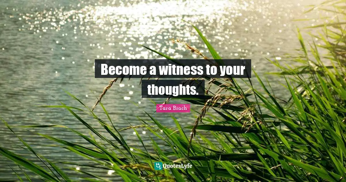 Become a witness to your thoughts.