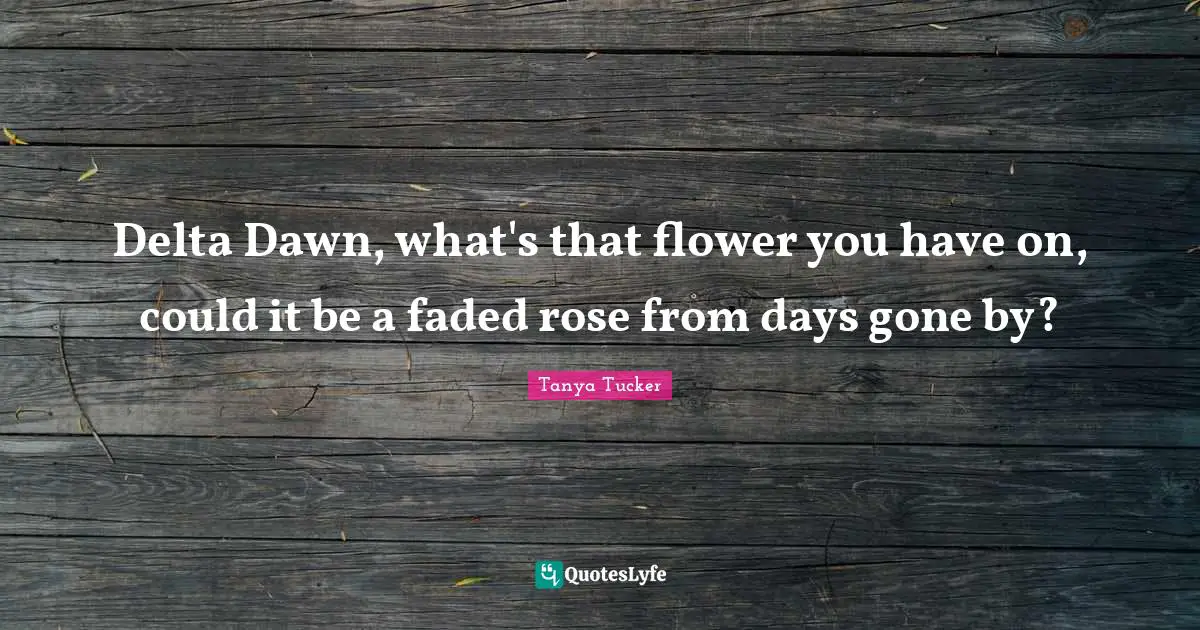 Delta Dawn, what's that flower you have on, could it be a faded rose from days gone by?