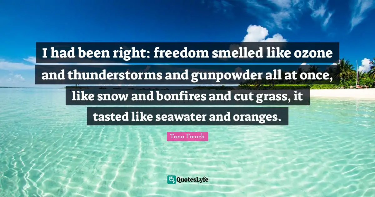 I had been right: freedom smelled like ozone and thunderstorms and gunpowder all at once, like snow and bonfires and cut grass, it tasted like seawater and oranges.