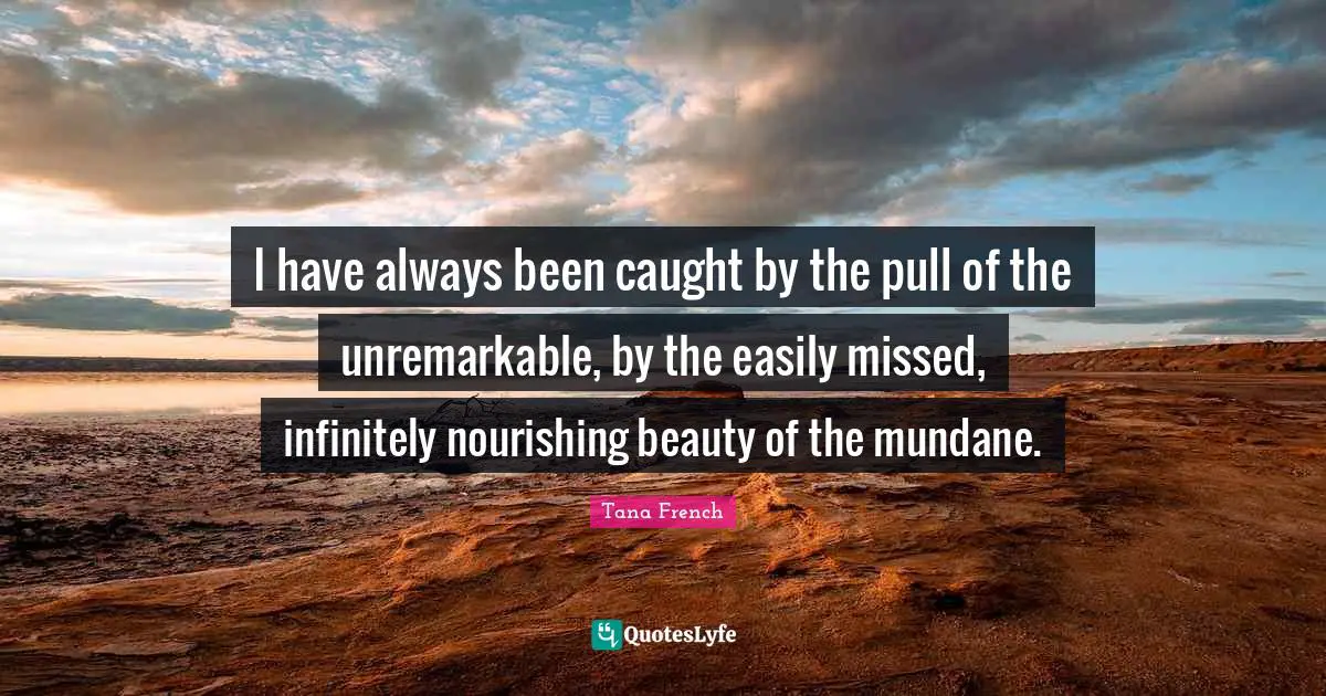 I have always been caught by the pull of the unremarkable, by the easily missed, infinitely nourishing beauty of the mundane.