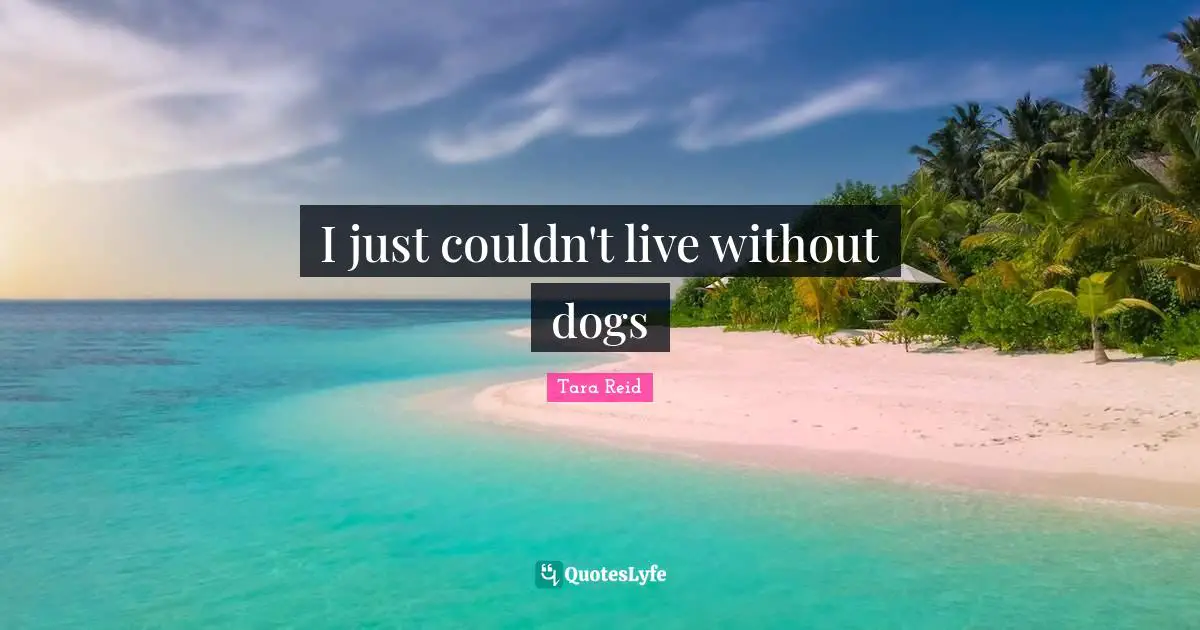 I just couldn't live without dogs