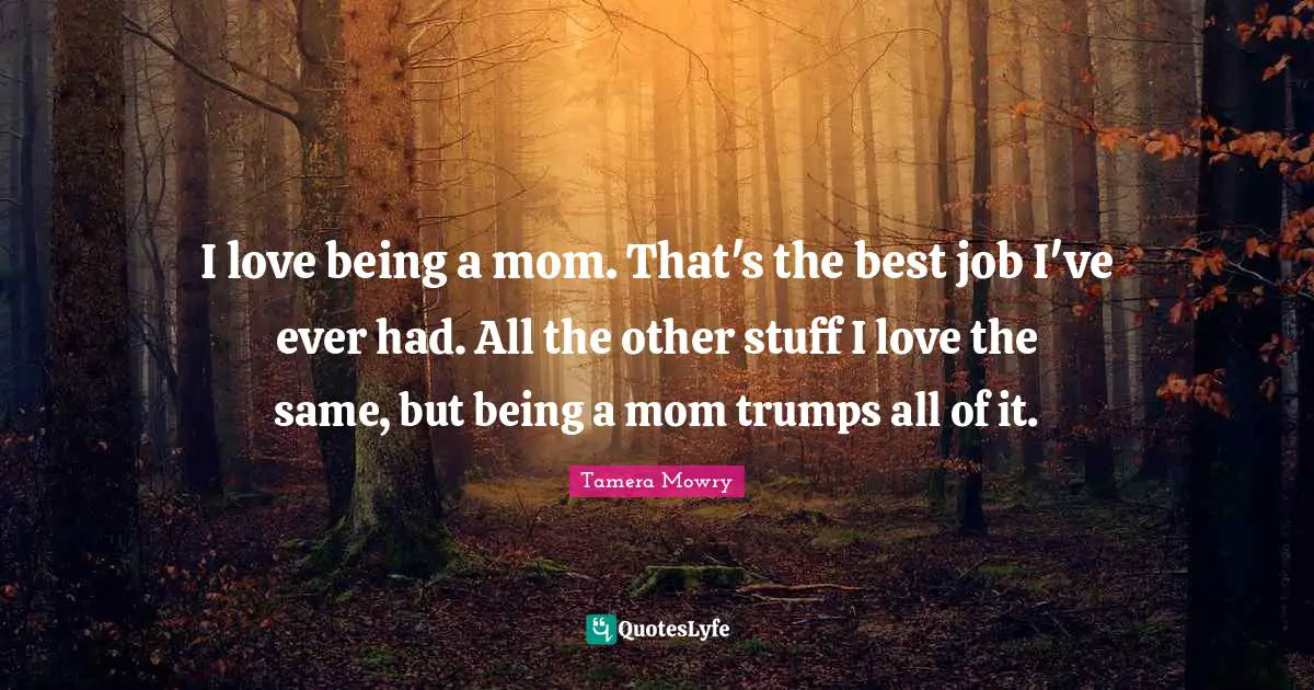 Best Job Quotes: "I love being a mom. That's the best job I've ever had. All the other stuff I love the same, but being a mom trumps all of it."