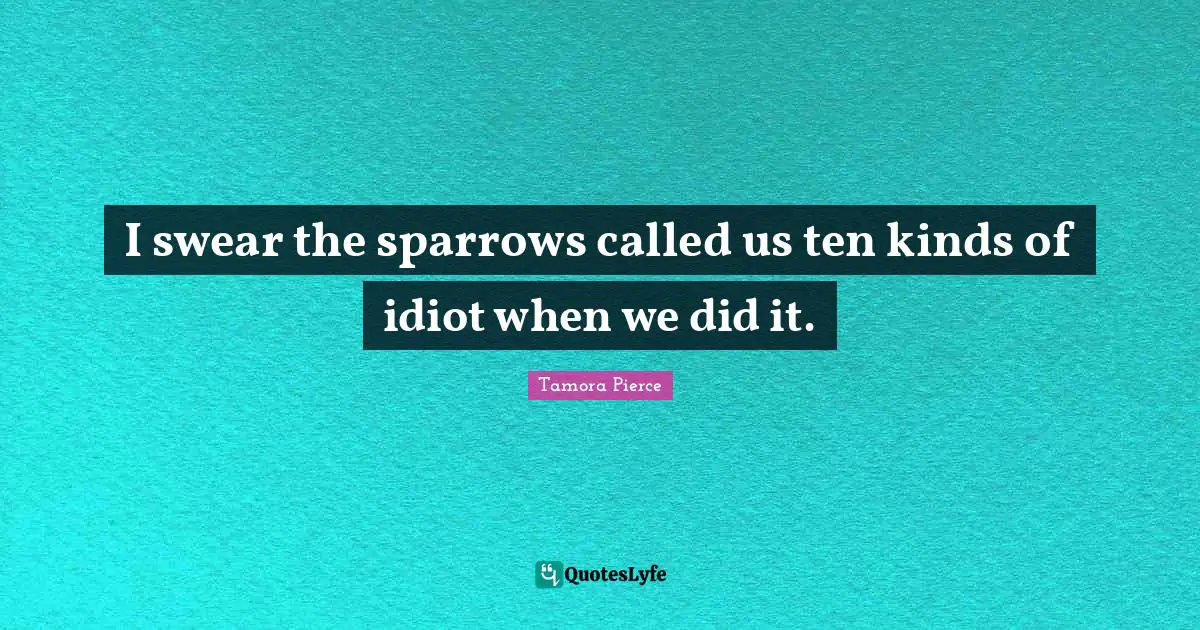 I swear the sparrows called us ten kinds of idiot when we did it.