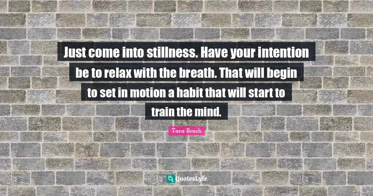 Just come into stillness. Have your intention be to relax with the breath. That will begin to set in motion a habit that will start to train the mind.