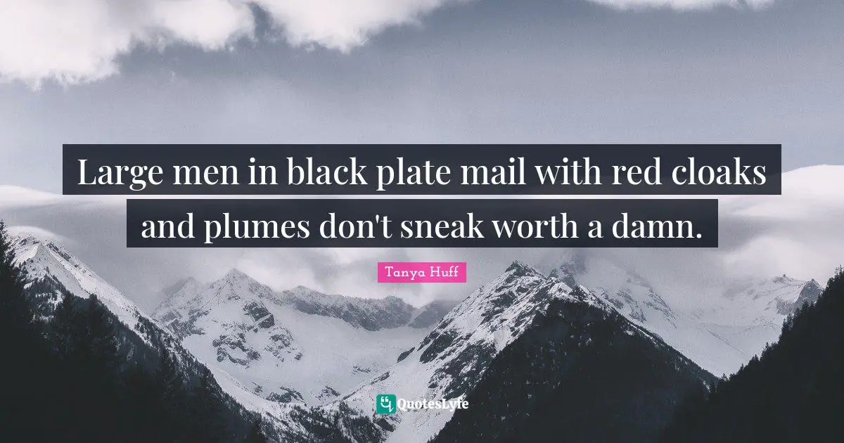 Large men in black plate mail with red cloaks and plumes don't sneak worth a damn.