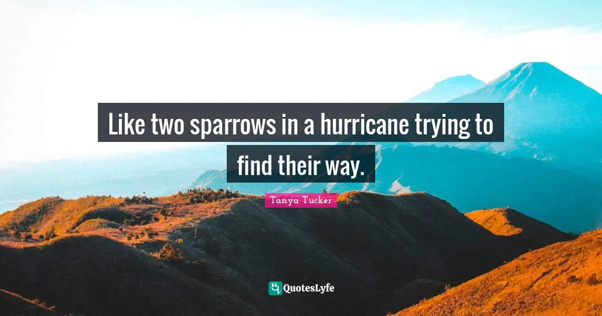 Like two sparrows in a hurricane trying to find their way.