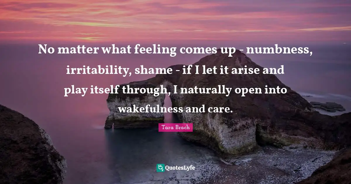No matter what feeling comes up - numbness, irritability, shame - if I let it arise and play itself through, I naturally open into wakefulness and care.